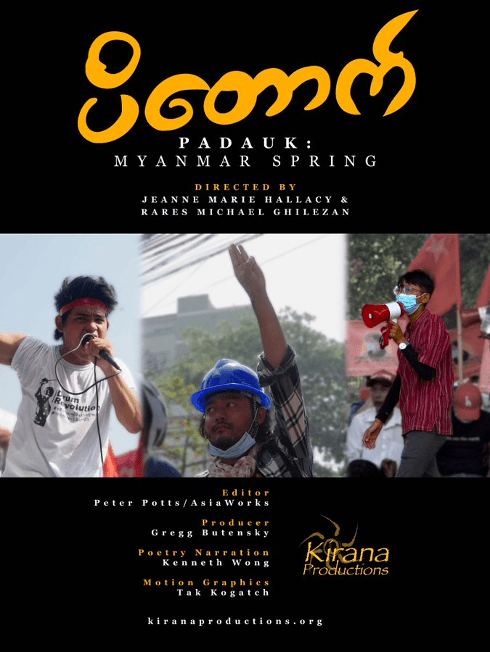 Myanmar in Crisis Poster